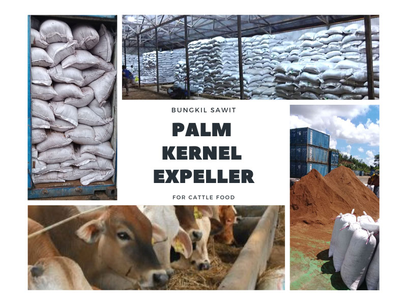 Palm-Kernel-Expeller